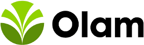 Olam